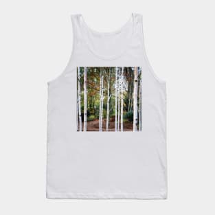 Birch trees Tank Top